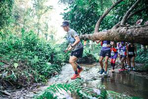 BIB: 
                            <button type="button" onclick="openModal(25443804)" class="btn btn-primary btn-sm float-right btn-popup" data-toggle="modal" data-target=".modal-high-quality">
                        <i class="fas fa-shopping-cart"></i> Add to Cart
                    </button>
                                            <button type="button" onclick="isThisMe(25443804, true)" class="btn btn-success btn-sm float-right btn-popup btn-isme hidden" data-toggle="tooltip" data-placement="bottom" title="นี่คือรูปของคุณใช่ไหม คลิกที่นี่เพื่อเอาเข้าอัลบั้ม">
                        <i class="fas fa-plus"></i> Add to album
                    </button>
                    <button type="button" onclick="isThisMe(25443804, false)" class="btn btn-warning btn-sm float-right btn-popup btn-isnotme hidden">
                        <i class="fas fa-ban"></i> Remove from album
                    </button>